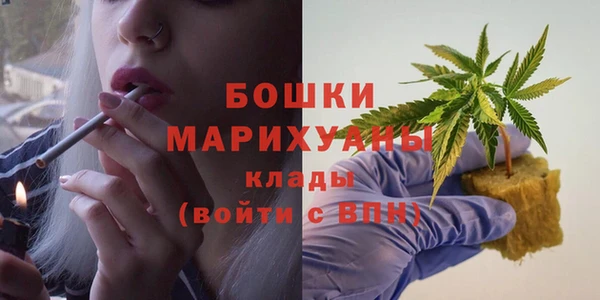 ГАЛЛЮЦИНОГЕННЫЕ ГРИБЫ Покровск