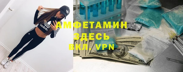 стаф Алексеевка